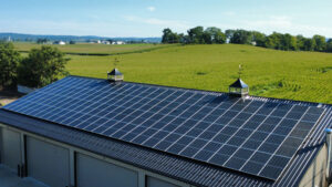 premier tree solar panels